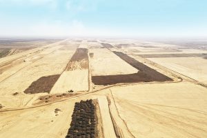 Dholera greenfield airport